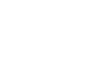 Vets Wakefield