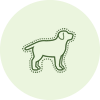 dog grooming services