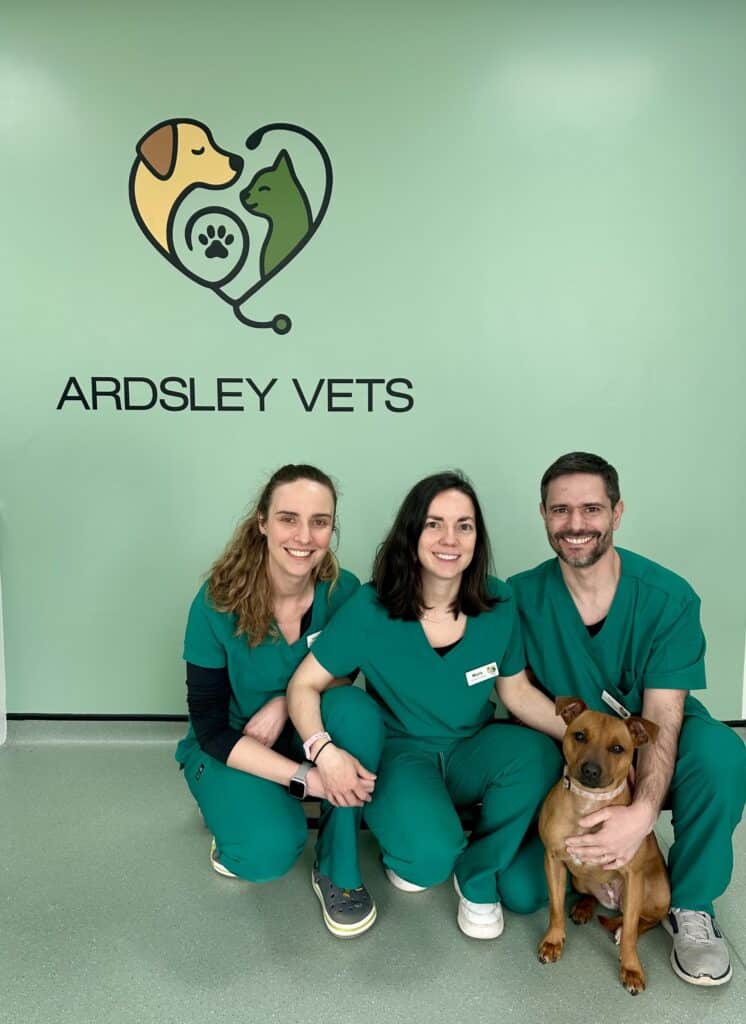 Ardsley Vets team