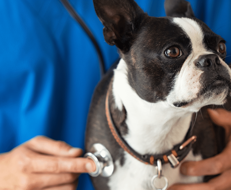 The Importance of Annual Health Checks