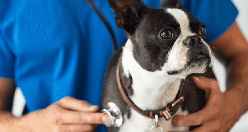 The Importance of Annual Health Checks
