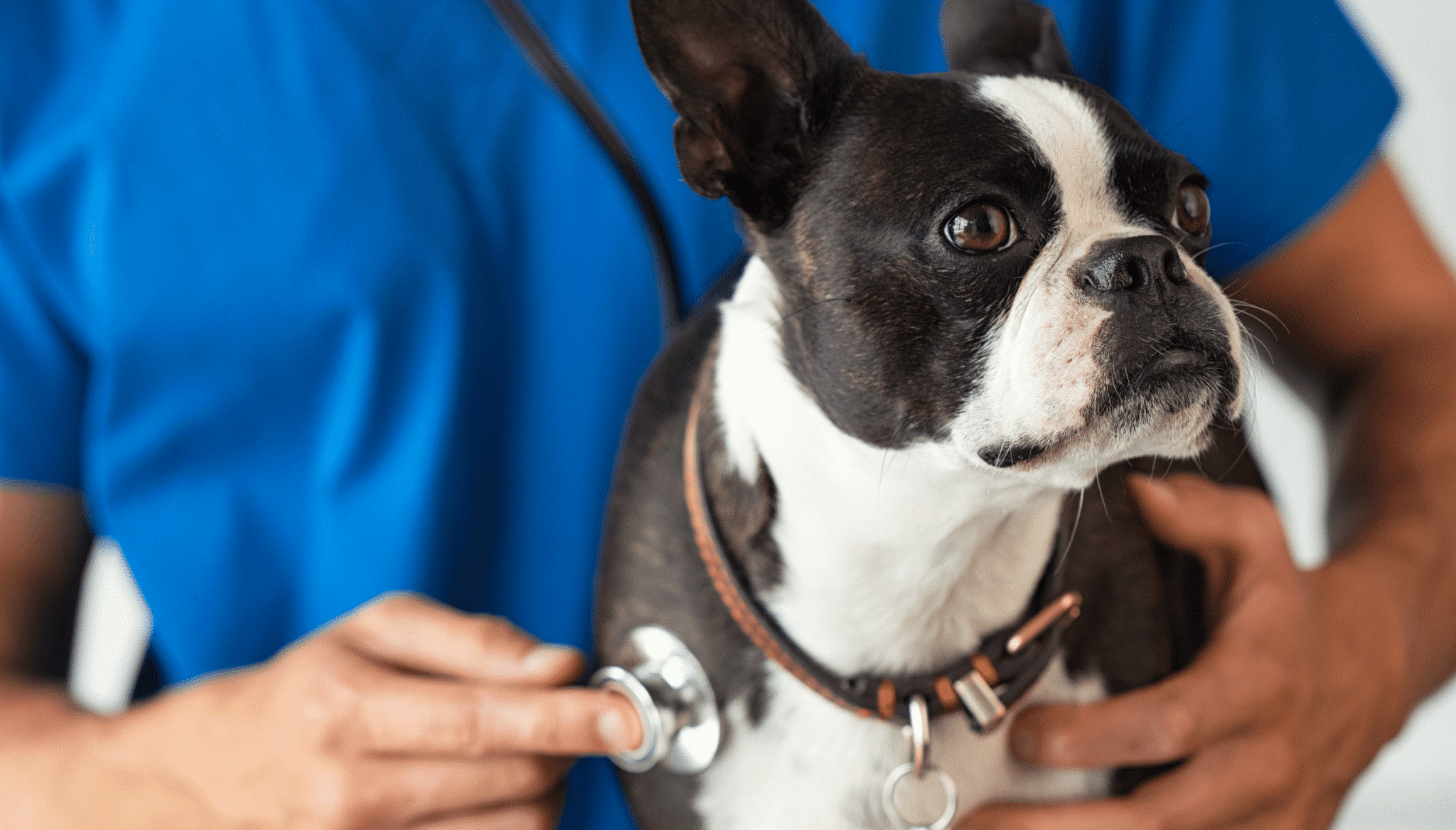 The Importance of Annual Health Checks
