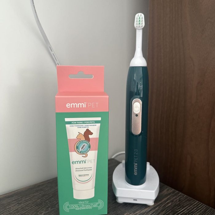 pet teeth cleaning